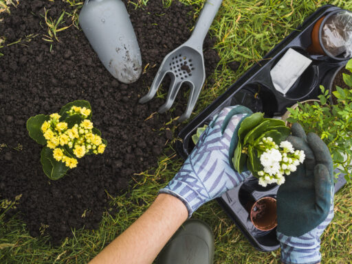 Lavori di giardinaggio