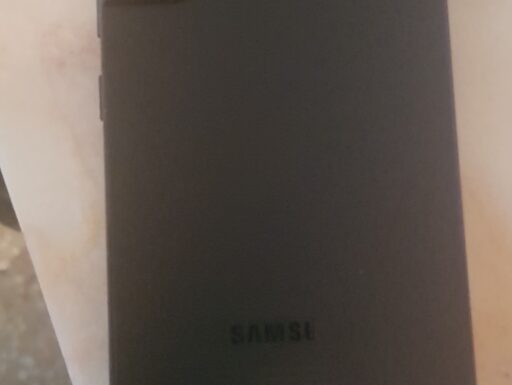 Samsung Galaxy s22