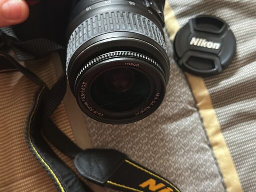 Nikon Reflex D3100