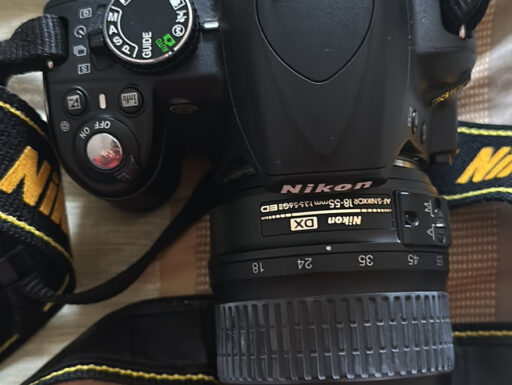 Nikon Reflex D3100