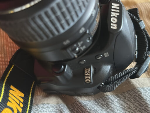 Nikon Reflex D3100