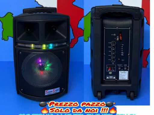 Super Cassa Altoparlante Speaker x karaoke portatile +2 micro