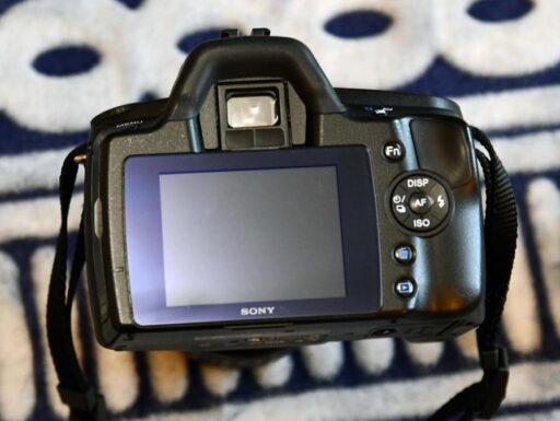 Sony A 290 reflex