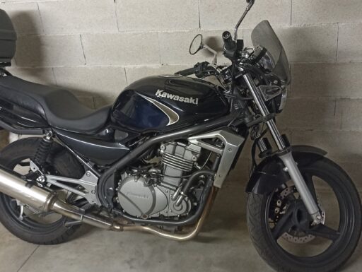 Kawasaki Er5