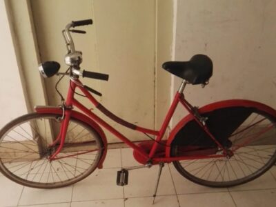 Bici donna Hollywood vintage