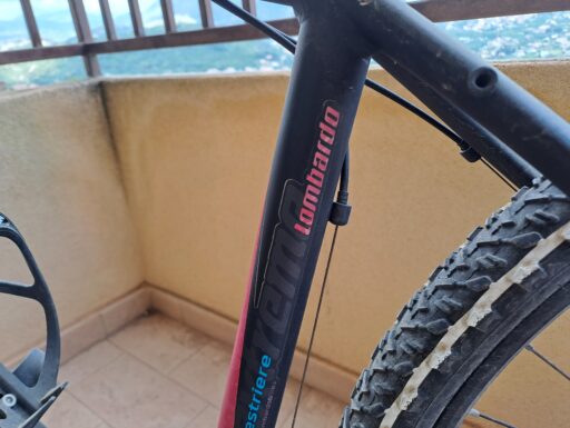 Bicicletta lombardo modello limited edition sestriere