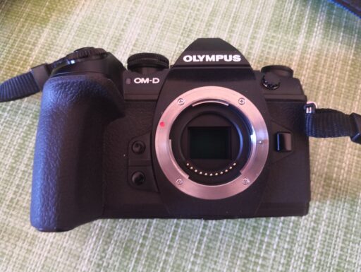 Olympus omd m1 mark ii body