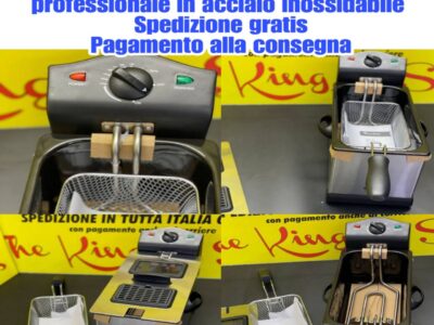 Friggitrice 3l elettrica professionale