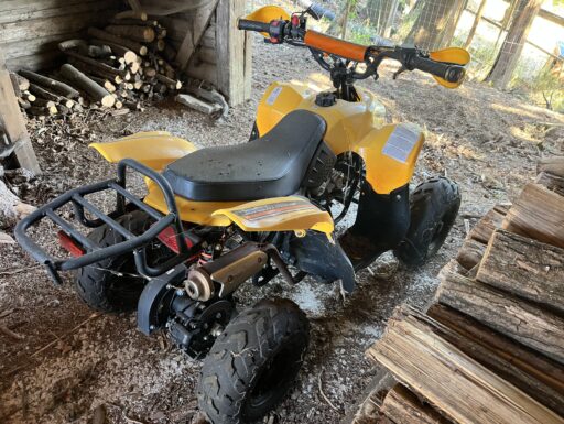 Mini quad a benzina 110 cc