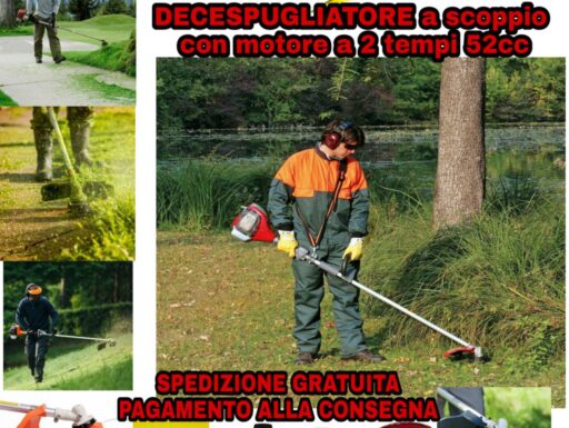 Decespugliatore a scoppio con manubrio tagliaerba