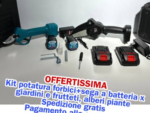 Kit potatura forbici+sega a batteria