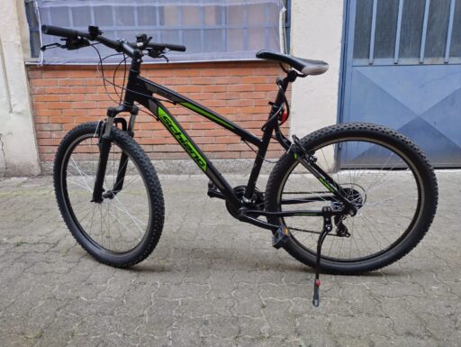 Bicicletta mountain bike