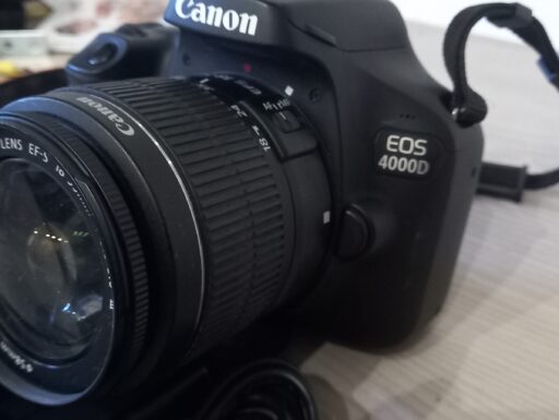 Canon 4000d