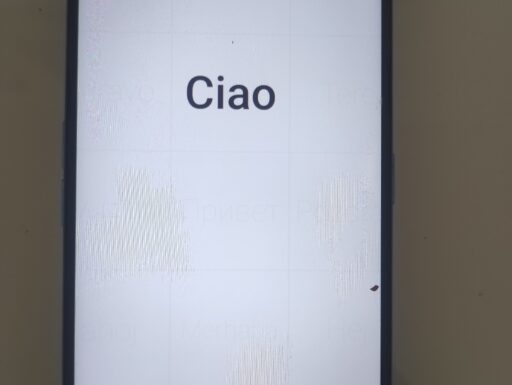 Oppo in ottime condizioni entra