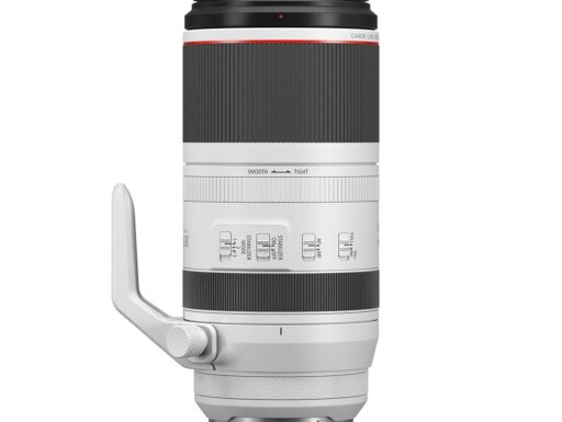 Canon rf 100-500mm f/4.5-7.1 l is usm garanzia canon europa