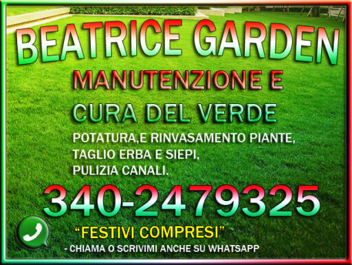 Giardiniere - svuotacantine - pulizie padova - 3402479325