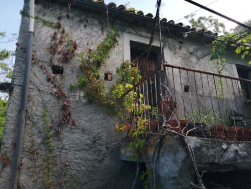 Vasti terreni panoramici con rustico a colongi di amantea