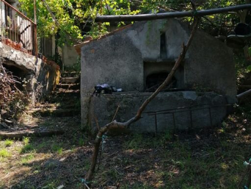 Vasti terreni panoramici con rustico a colongi di amantea