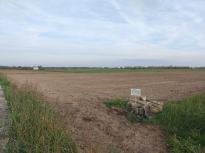 Terreno agricolo in salice sal. (le)